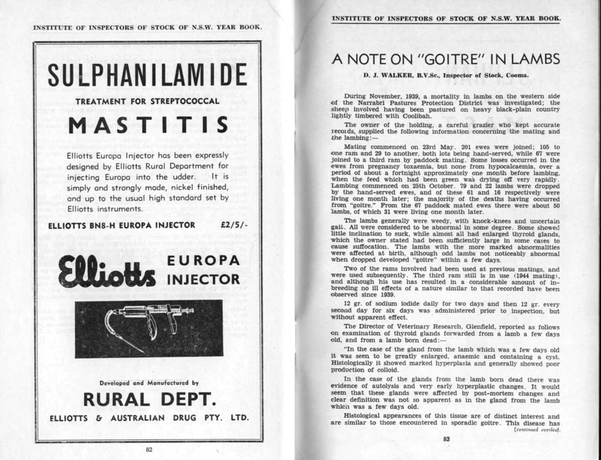 1944 Page 82 83
